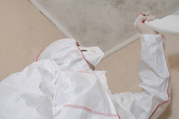 Best Mold Remediation for Specific Building Types in Buffalo, TX