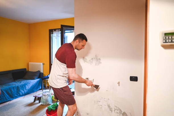 Best Preventive Mold Services in Buffalo, TX